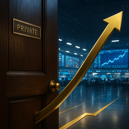 Basit Terimlerle IPO Nedir?